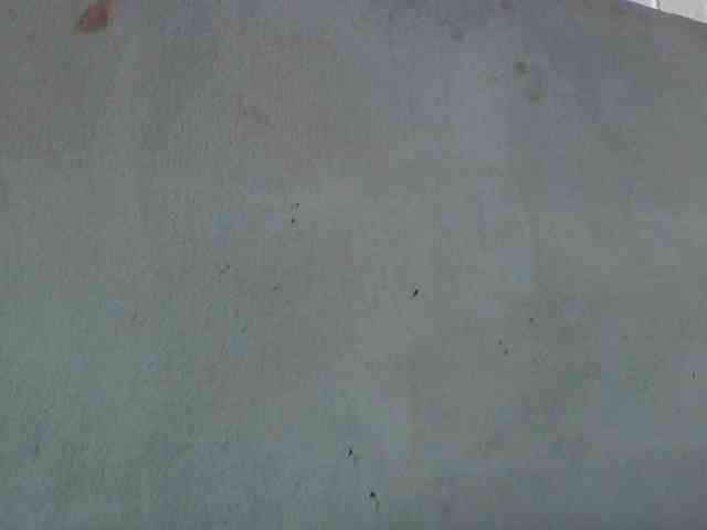 Aina9 webcam