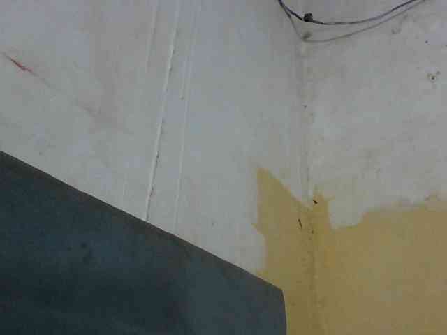 Aina9 webcam