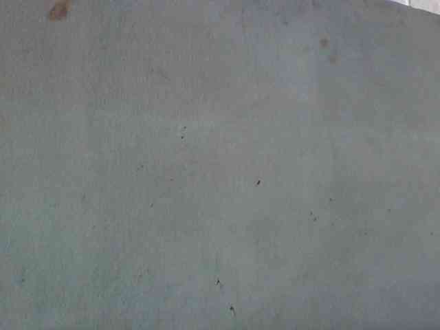 Aina9 webcam