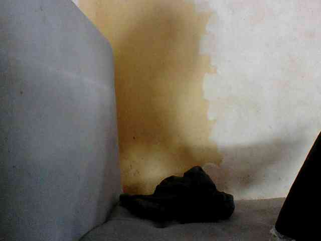 Aina9 webcam