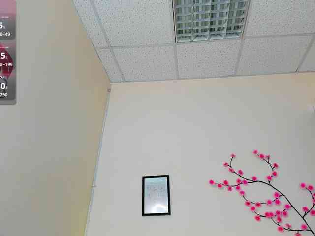 DellaRowwe webcam