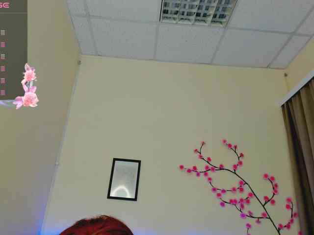 DellaRowwe webcam