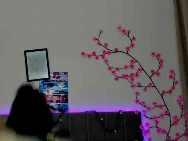 DellaRowwe webcam