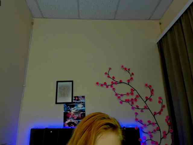 DellaRowwe webcam