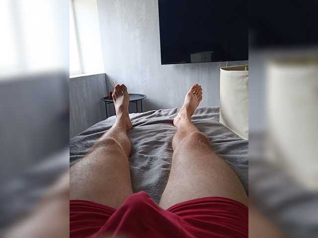 Nelegal2
