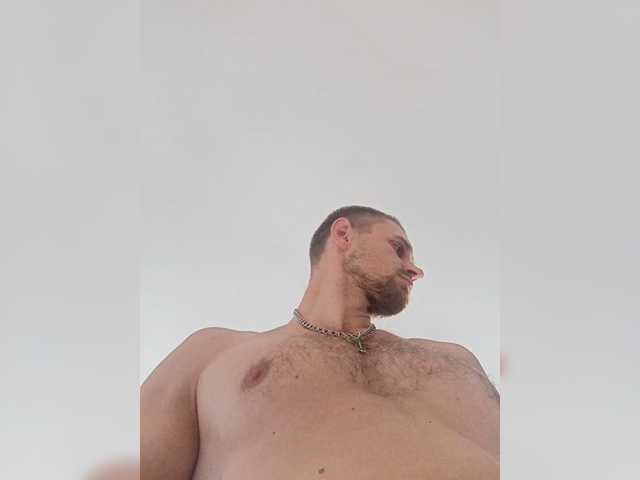 Nelegal2