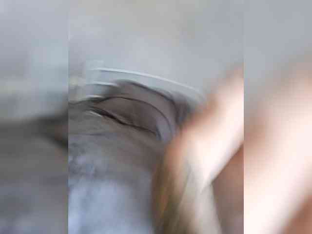 Nelegal2