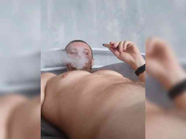 Nelegal2