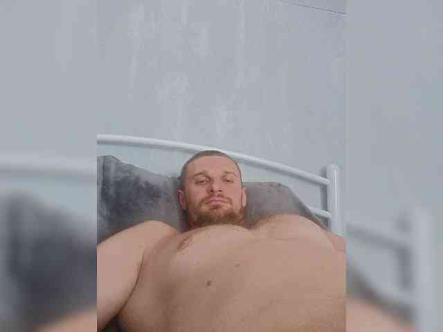 Nelegal2