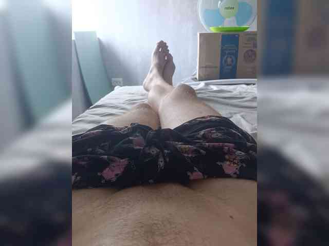 Nelegal2