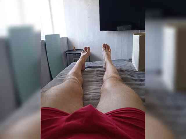 Nelegal2