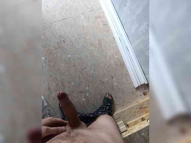Nelegal2