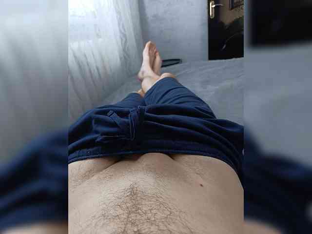Nelegal2