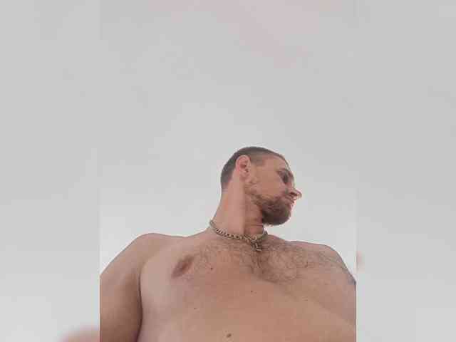 Nelegal2