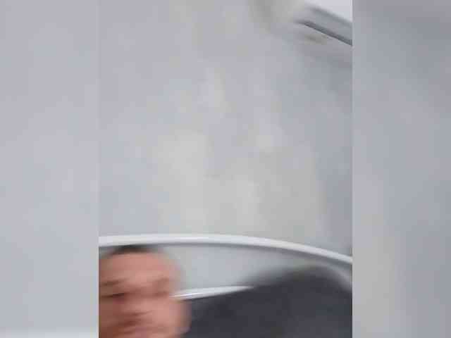 Nelegal2