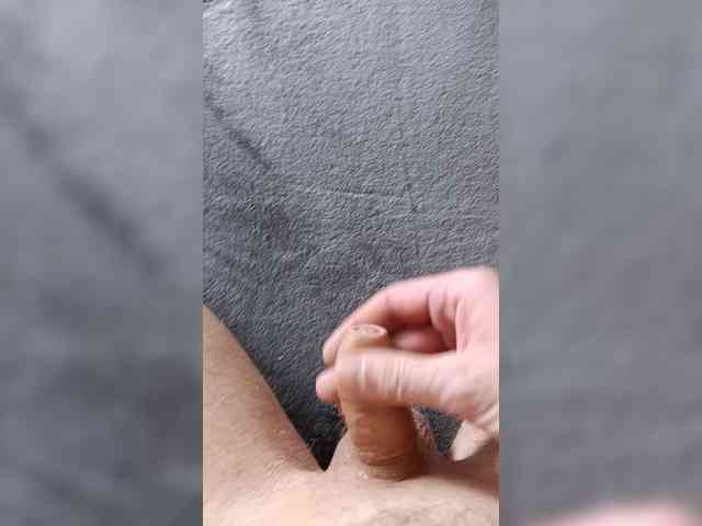 Nelegal2