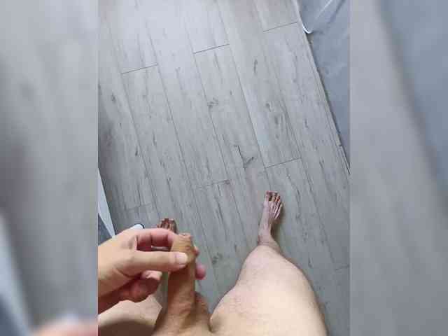 Nelegal2