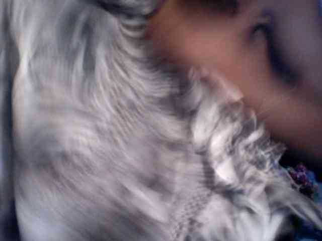 Famelapine webcam