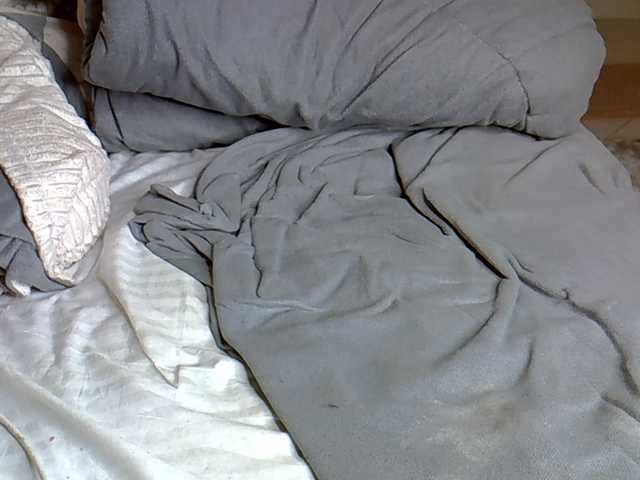 SpicyHailey88 live cam on BongaCams