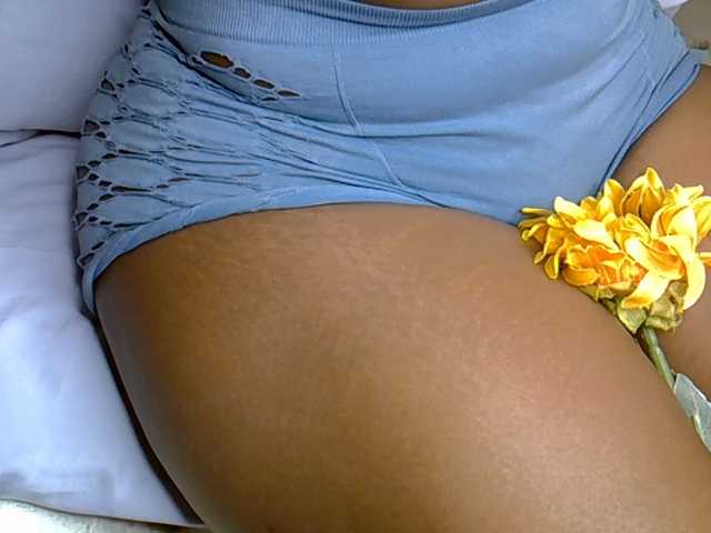 SpicyHailey88 live cam on BongaCams