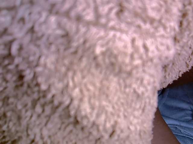 Hailey88