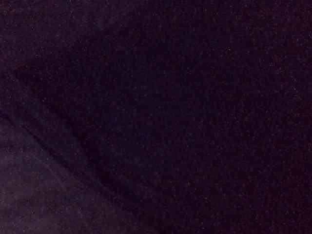 Hailey88 webcam