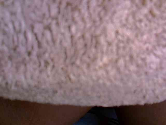 Hailey88 webcam