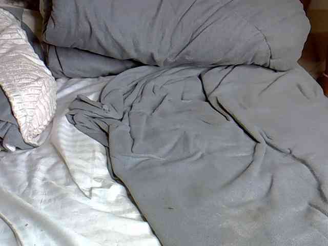 Hailey88 webcam