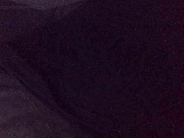 Hailey88 webcam