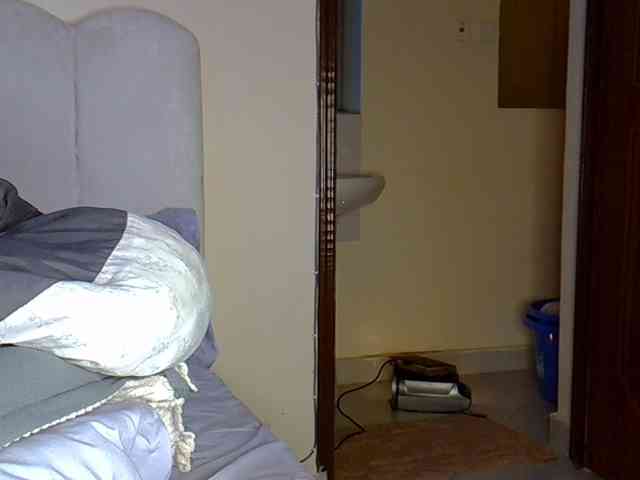 Hailey88 webcam
