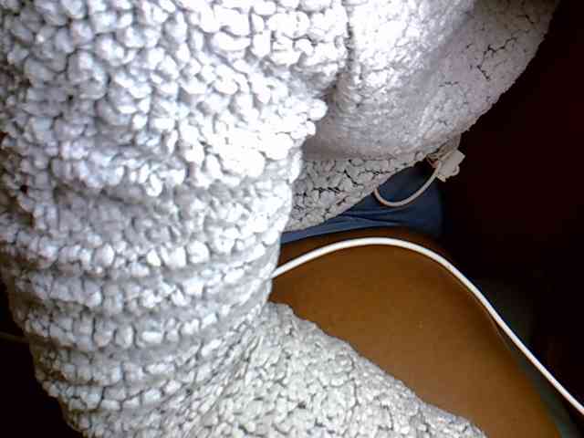 hailey88's live room