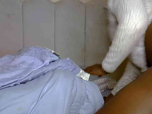 Hailey88 webcam