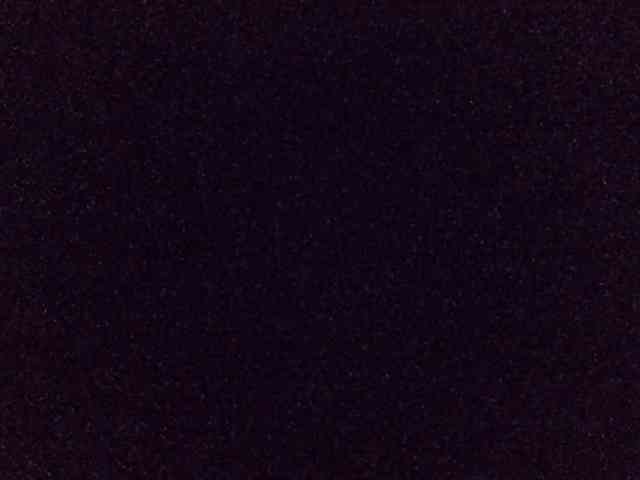Hailey88 webcam
