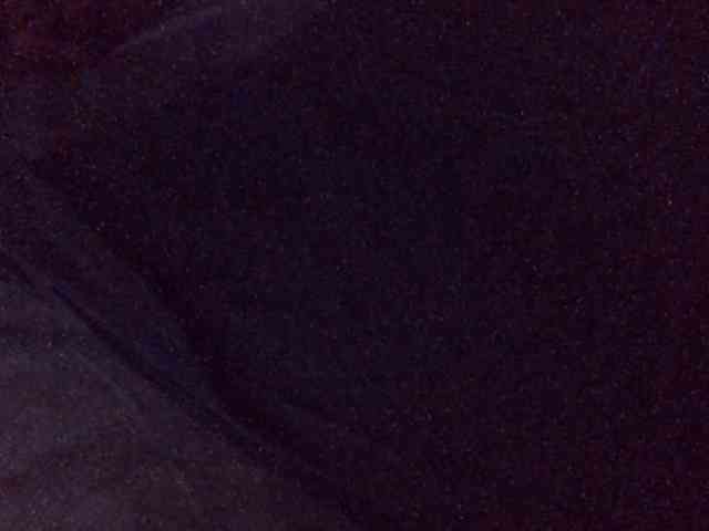 SpicyHailey88
