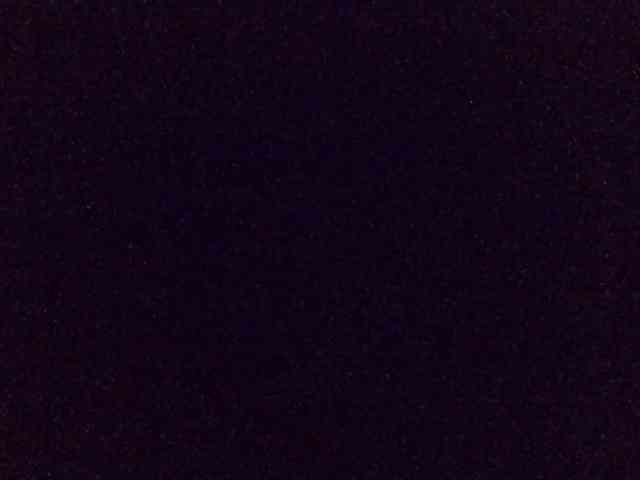 Hailey88 webcam