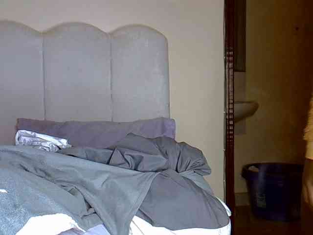 Hailey88 webcam