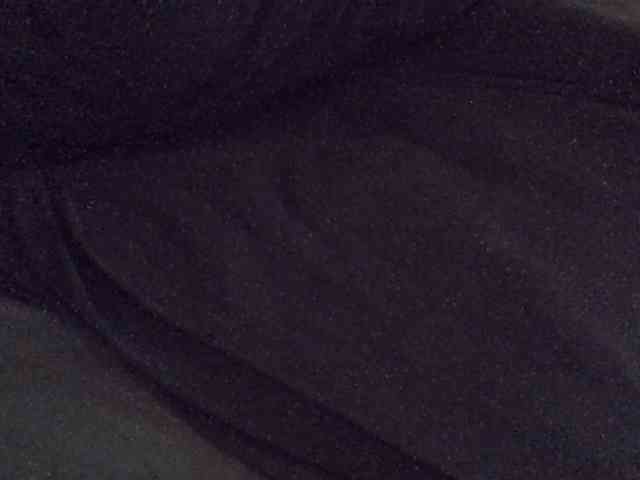 Hailey88 webcam