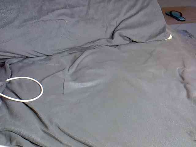 Hailey88 webcam
