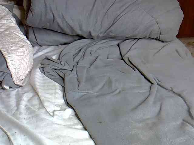Hailey88 webcam
