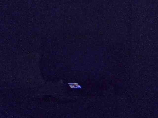 Hailey88 webcam