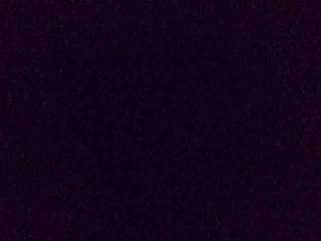 Hailey88 webcam