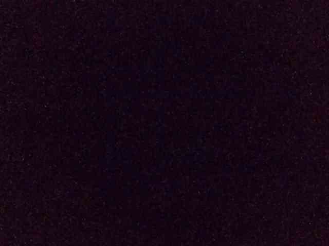 Hailey88 webcam