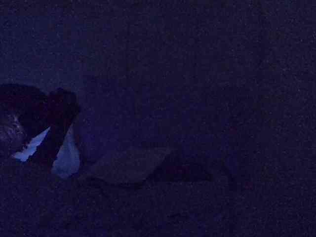 Hailey88 webcam