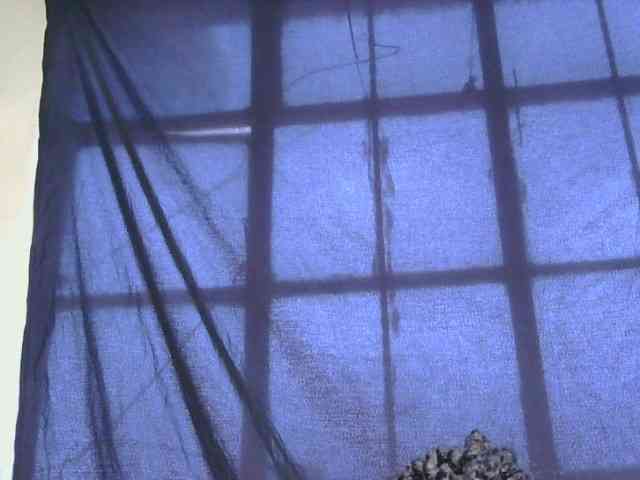 Princessprekky webcam