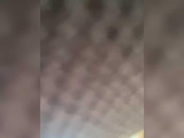 Viola18a