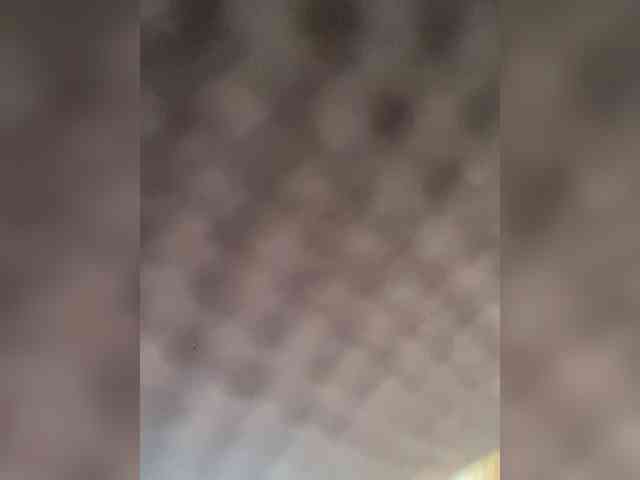 Viola18a