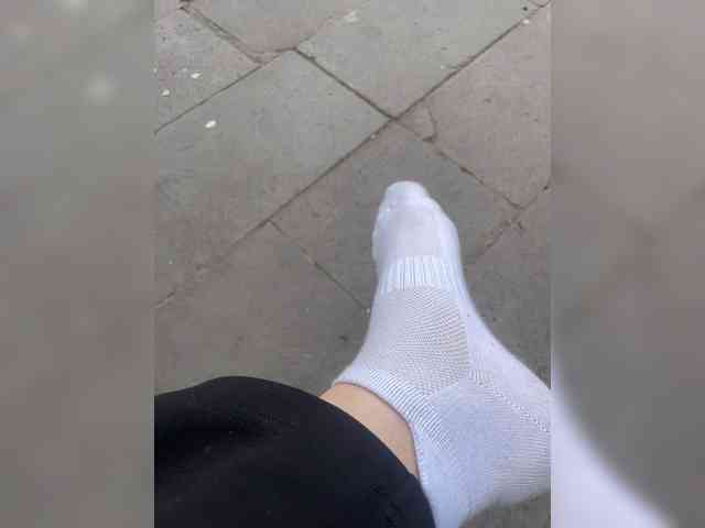 Viola18a Viola18a