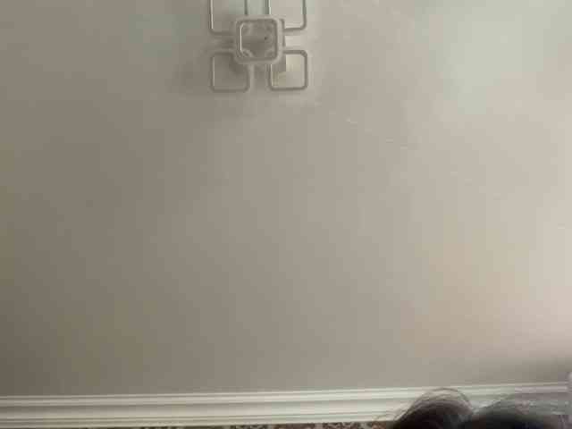 Viola18a webcam