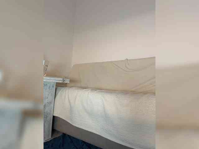 Viola18a webcam