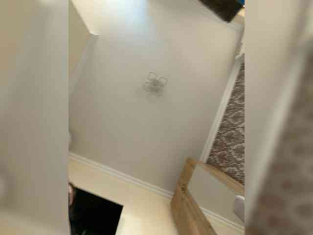 Viola18a webcam